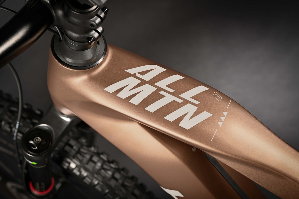 HAIBIKE ALLMTN CF 8