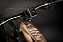 HAIBIKE ALLMTN CF 8