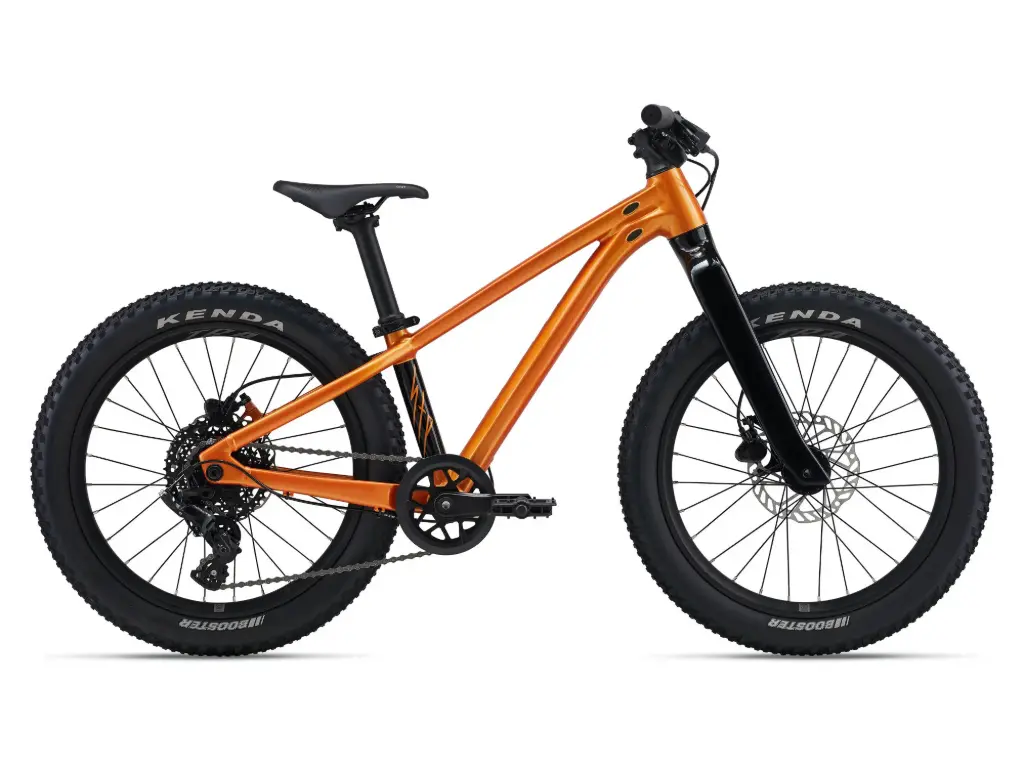 GIANT STP 20