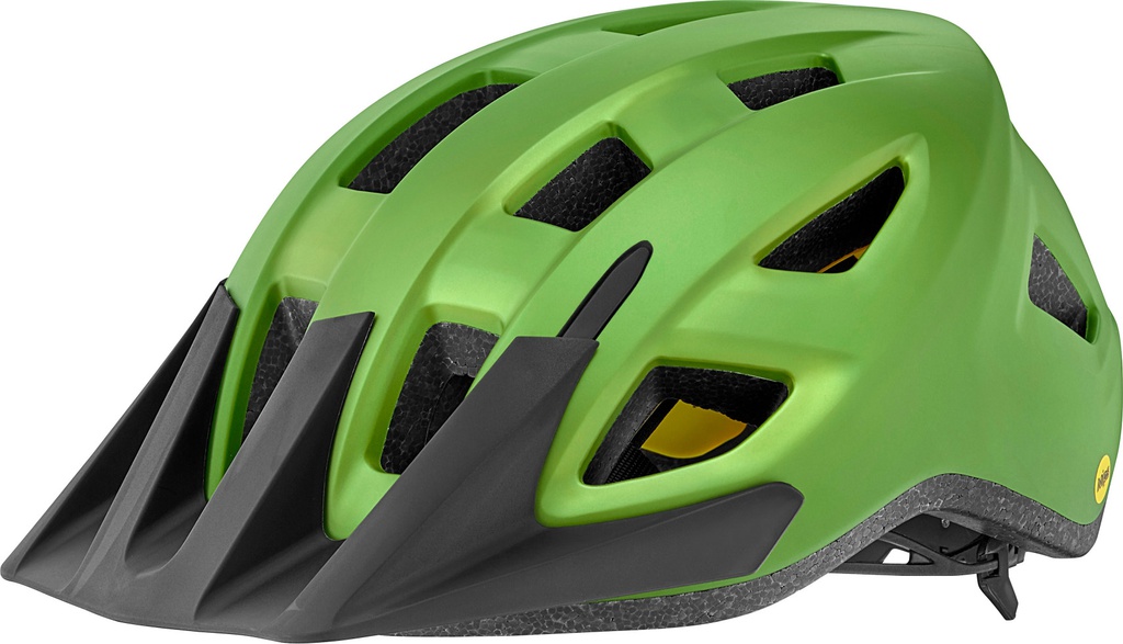 Casco Giant PATH ARX MIPS