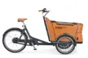 BABBOE CURVE MOUNTAIN CAISSE BOIS