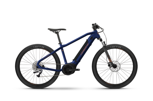 ALLTRACK 29 4 (copia)