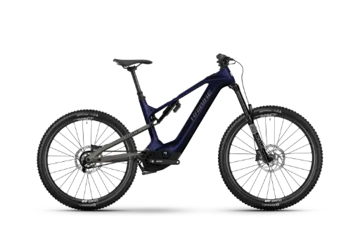 HAIBIKE ALLMTN CF 10 TRN/IQ